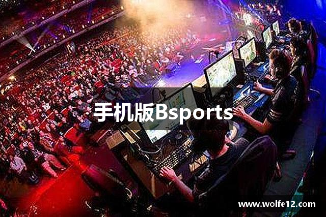 手机版Bsports